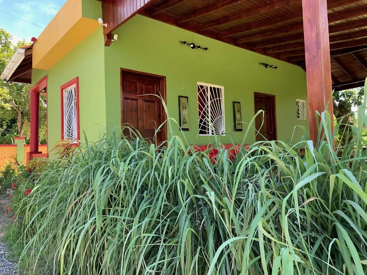 Green Queendom Farm And Lodging Oracabessa