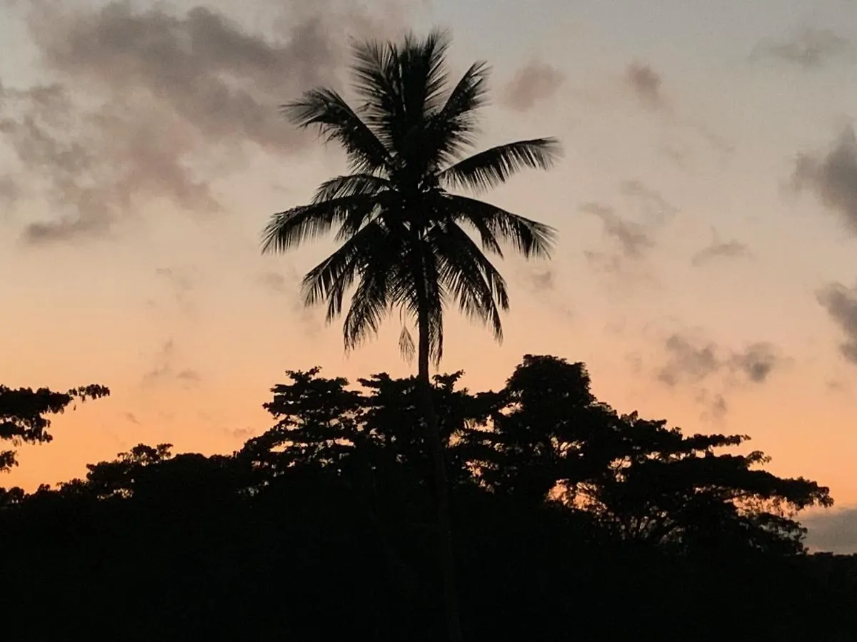 Green Queendom Farm And Lodging Oracabessa